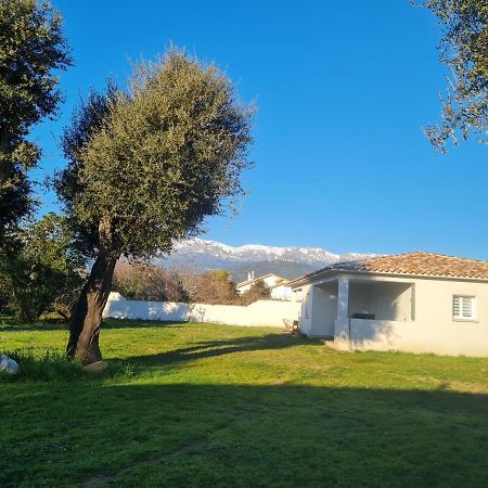 Location "Casa Monna" Apartment Prunelli-di-Fiumorbo Luaran gambar